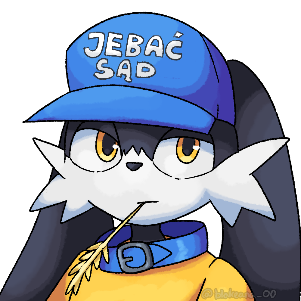 corsa Klonoa with the 'Jebać sąd' hat