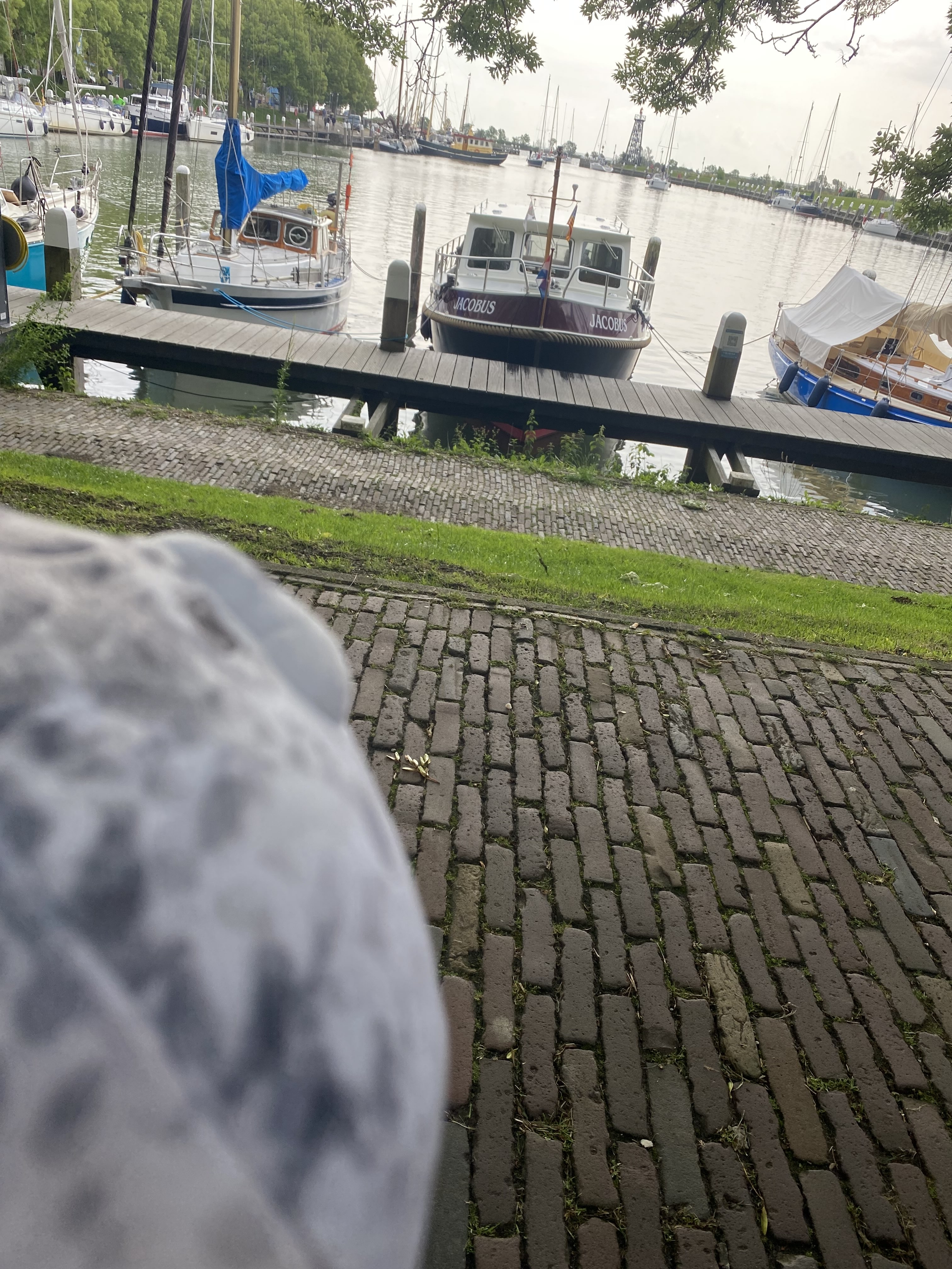 babito stares at the harbor