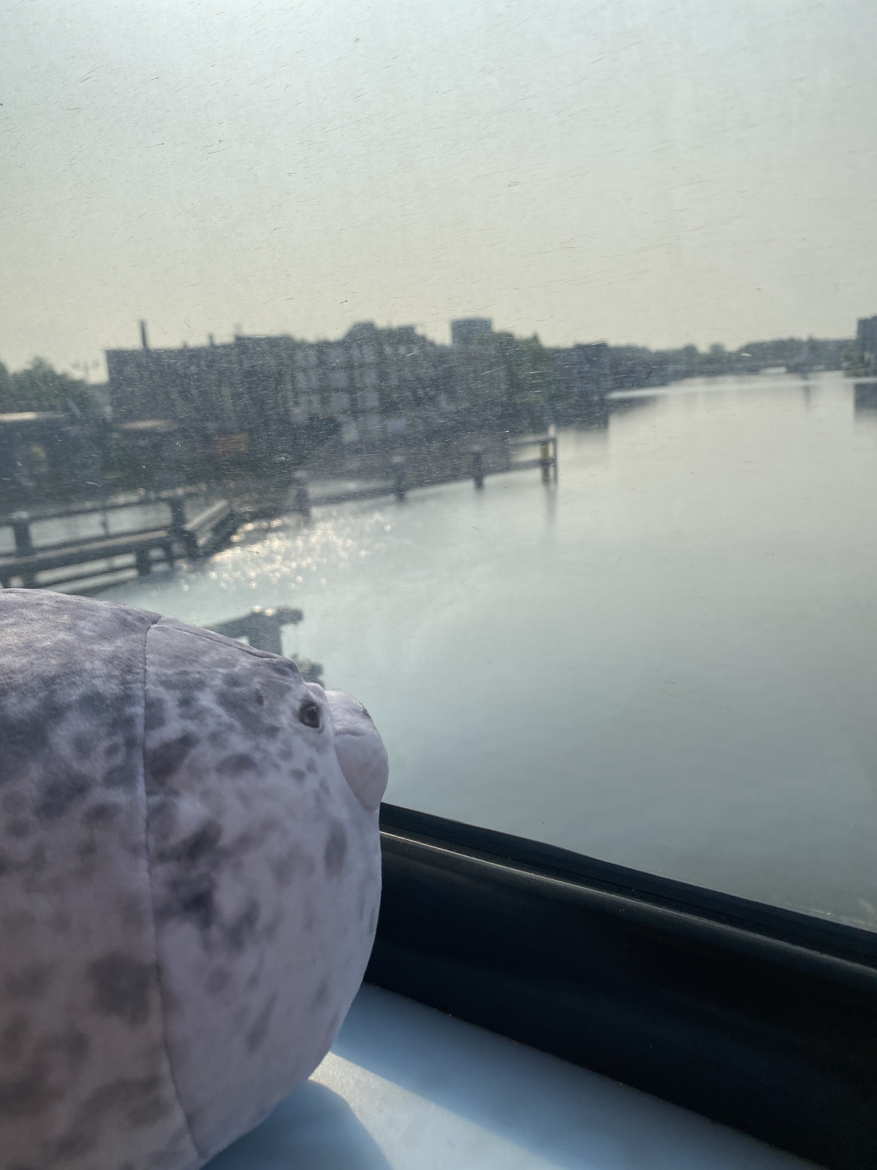 babito looks at a harbor in zaandam